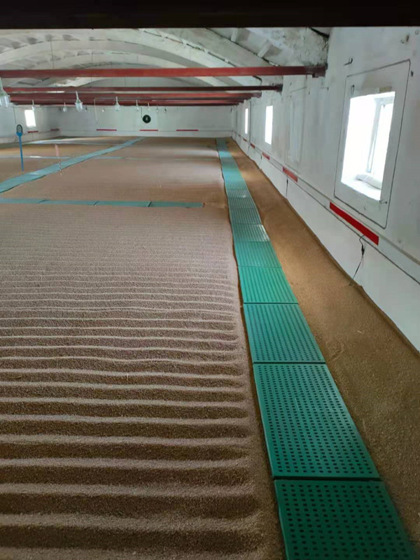 粮面走道板样图