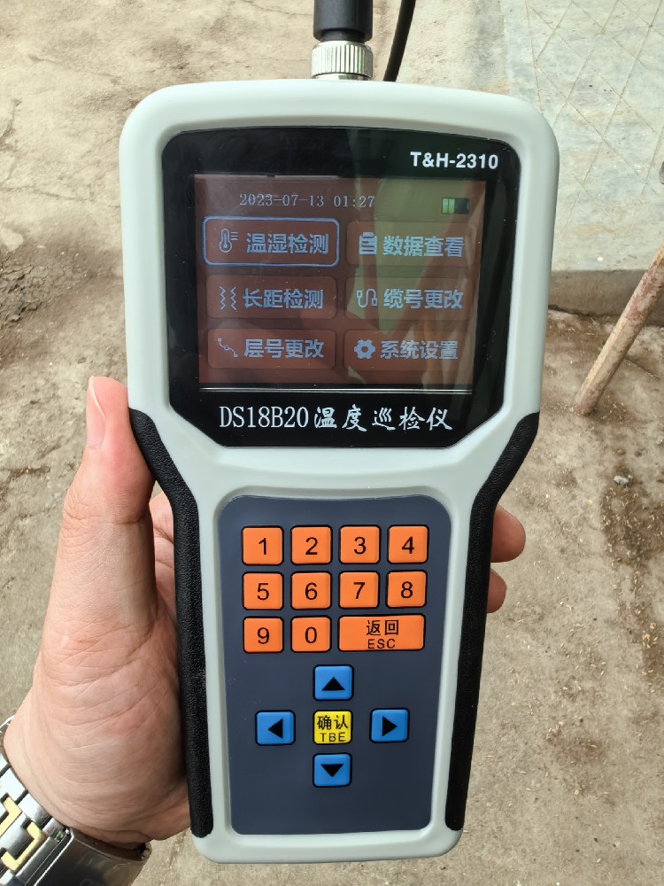 移动式手持仪表