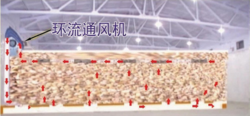 内环流控温技术应用实践与发展前景？